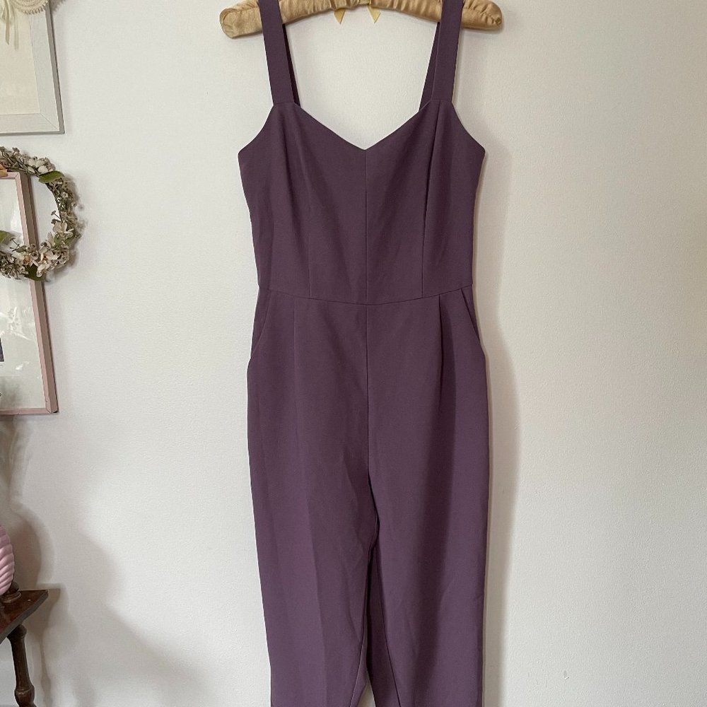 Soft Mauve/Lilac Jumpsuit, Size 4, Birds of North America, Pockets